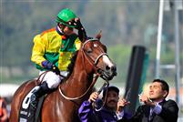 Dancing In Silks and jockey Joel Rosario after capturing the 2009 Breeders' Cup Sprint
