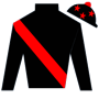 Switch360 Silks