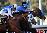 March 5, 2012.Game On Dude riden by Chantal Sutherland and Setsuko riden by Victor Espinoza race to the finish line in The Santa Anita Handicap at Santa Anita Park, Game On Dude kept the lead and was declared the winner after a stewards review of the stretch run. 