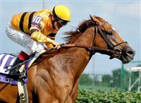 Wise Dan