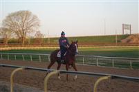 Mizz Liza workout @Arlington Park