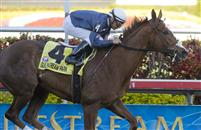 Jessica Is Back Takes the Ocala Stakes at Gulfstream Park.