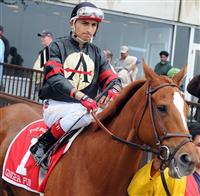 Ginger Punch with Rafael Bejarano up