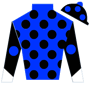 rayphil83 Silks