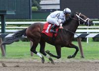 Hysterical Cat break maiden at Saratoga (8-8-10). 