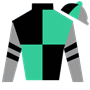 fonnerparkfilly Silks