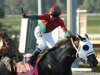 Oct. 15, 2011.Ultimate Eagle ridden by Martin Pedroza, crossing the finish line, wins the Oak Tree Derby at Santa Anita Park, Arcadia, CA