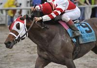 Friesan Fire wins Louisiana Derby