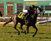 Blues Street winning the 23rd Running of Fair Grounds Handicap(Grade III) with Javier Castellano