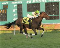 Lomaki captures the 2010 Endeavor at Tampa Bay Downs