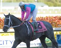 Gary D after the 2010 Swale Stakes