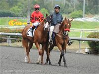 Kentucky Derby 2012
