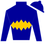 alonso12929 Silks