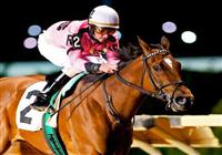 17 April 09: Comedero and Robby Albarado romped home with a 9-length win in the Blue and Gold Stakes on Charles Town Classic night at Charles Town Race and Slots in West Virginia.