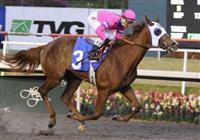 09 December 20: Blind Luck (no. 3), ridden by Rafael Bejarano and trained by Jerry Hollendorfer, wins the 29th running of the grade 1 Hollywood Starlet Stakes for two year old fillies at Hollywood Park in Inglewood, California.