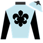 Mdenfield Silks