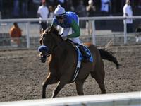 09 July 11: Tres Borrachos gets the early lead before Jose Valdivia Jr. rguides Rail Trip to victory in the 70th running of the grade 1 Hollywood Gold Cup Handicap for three year olds and upward at Hollywood Park in Inglewood, California.