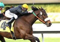 16 January 2010: Papa Clem and Tyler Baze win the San Fernando Stakes at Santa Anita Park in Arcadia, CA.. 