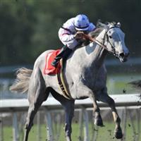 Stardom Bound - Santa Anita Oaks