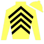 otbhawaiian Silks