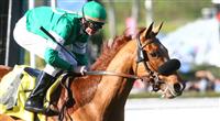 Caracortado captures the 2010 Robert B. Lewis Stakes at Santa Anita