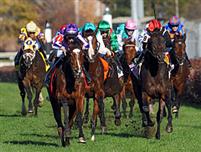 /stakes/stakesdetail.aspx?stid=Breeders Cup Turf