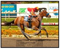 Candrea breaks her maiden
