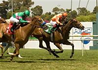 Evening Jewel wins the Honeymoon