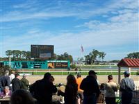 Tampa Bay Downs finish line