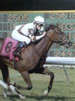 Two Notch winning the Continental Mile