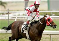 January 2010: Friesan Fire and Shaun Bridgmohan win the Louisiana Handicap at the Fairgrounds in New Orleans, La. 