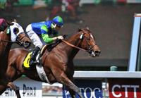 Apr 4, 2009: Rail Trip under Jose Valdivia, Jr. in front to win handily race #4 at Santa Anita Park, Arcadia, California.