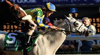 Hansen, ridden by jockey Victor Lebron and trained by Michael Maker beat favorite Union Rags , ridden by jockey Javier Castellano in a photo finish in the Grey Goose Breeders' Cup Juvenile (G1) at at Churchill Downs in Louisville, Kentucky on November 5, 2011..