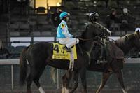November 26, 2010: Giant Oak and Shawn Bridgmohan in the post parade for the Clark Handicap at Churchill Downs in Louisville, Kentucky.