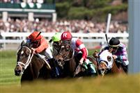 Heros Reward noses out Cannonball and Chamberlain Bridge in the G3 Shakertown