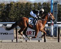 Rule By Night breaks maiden at Aqueduct. 