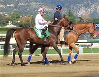 PRIDEofSILVER