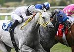 SilverSwallowECL