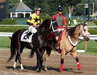 Flat Bold, 2009 Jim Dandy Saratoga