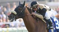 Magical Fantasy wins the Mabee