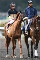 Magical Fantasy and Alex Solis before the Gamely win