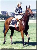 Miesque