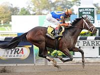 Overanalyze Futurity