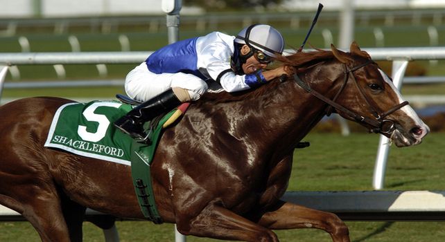 Shackleford top story