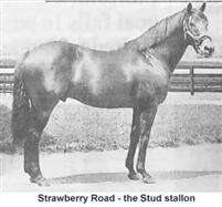 Strawberry Road