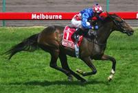 Makybe Diva
