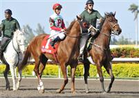 This Ones For Phil wins the G2 Swale by DQ as Big Drama bumped him in the stretch 