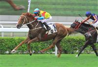 Turf Express