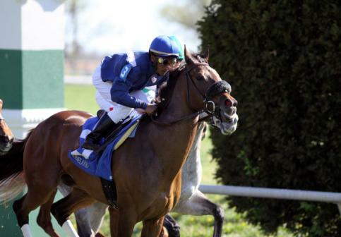 Eventual winner, Wasted Tears with Rajiv Maragh (blue cap) at the start of The Jenny Wiley (grII) at Keeneland Race Course. 04.10.2010