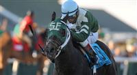 Watch Me Go upsets the Tampa Bay Derby